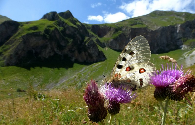 Monti Sibillini 2015